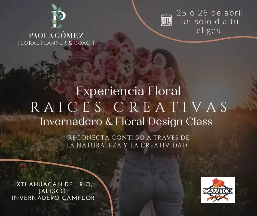 Raíces Creativas